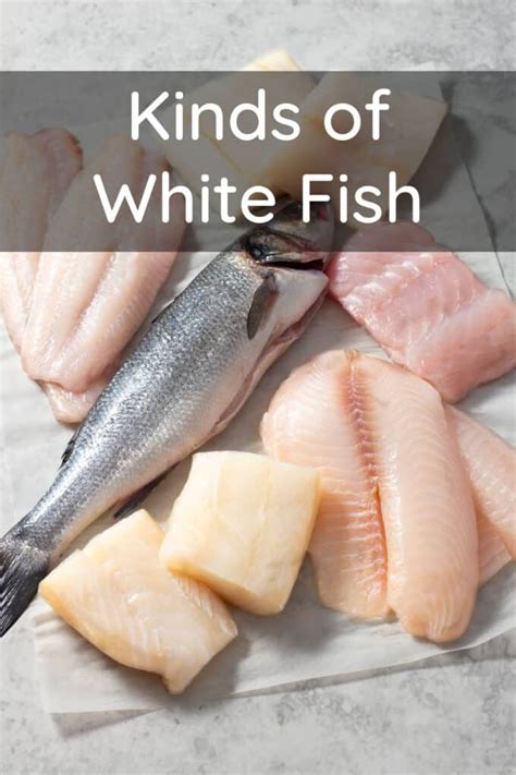 what is white fish|White Fish: The Different Types and How to Cook Them.